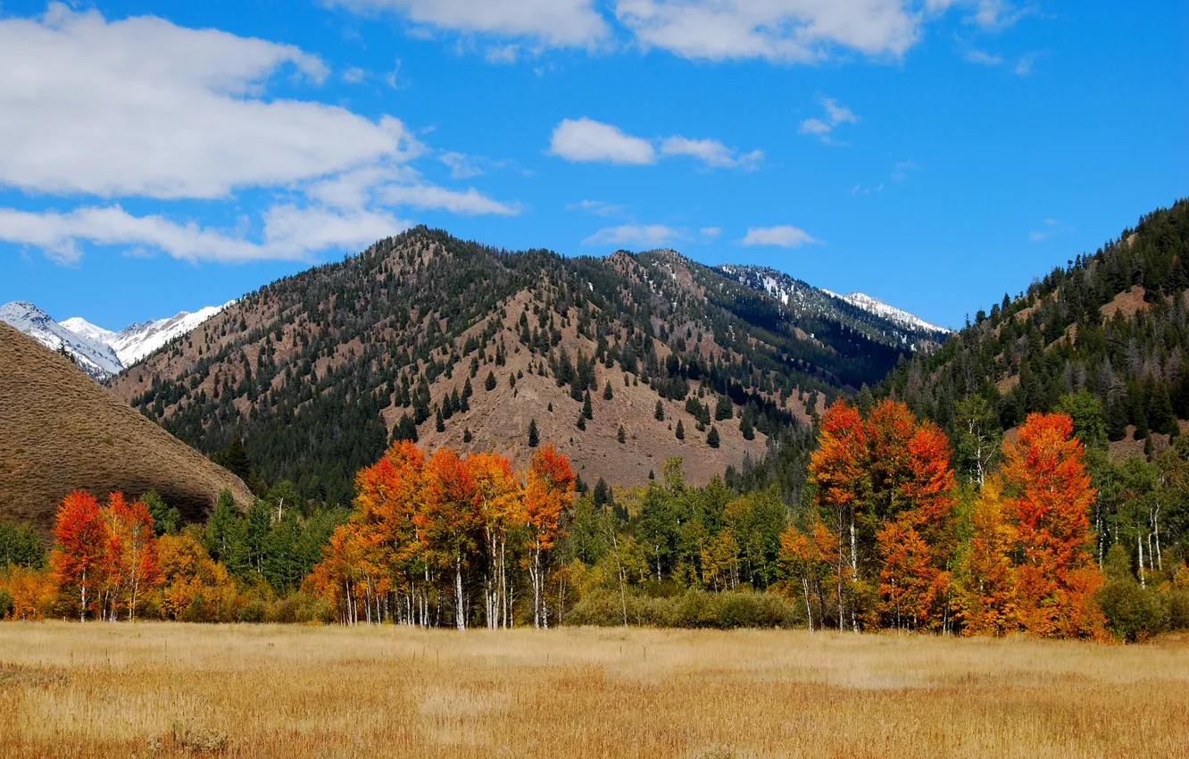 Photo wallpaper autumn, the sky, clouds, trees, mountains