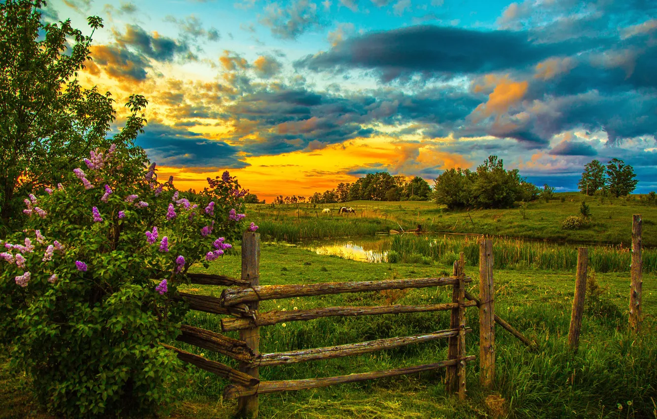 Photo wallpaper the sky, grass, clouds, trees, sunset, pond, the fence, horse