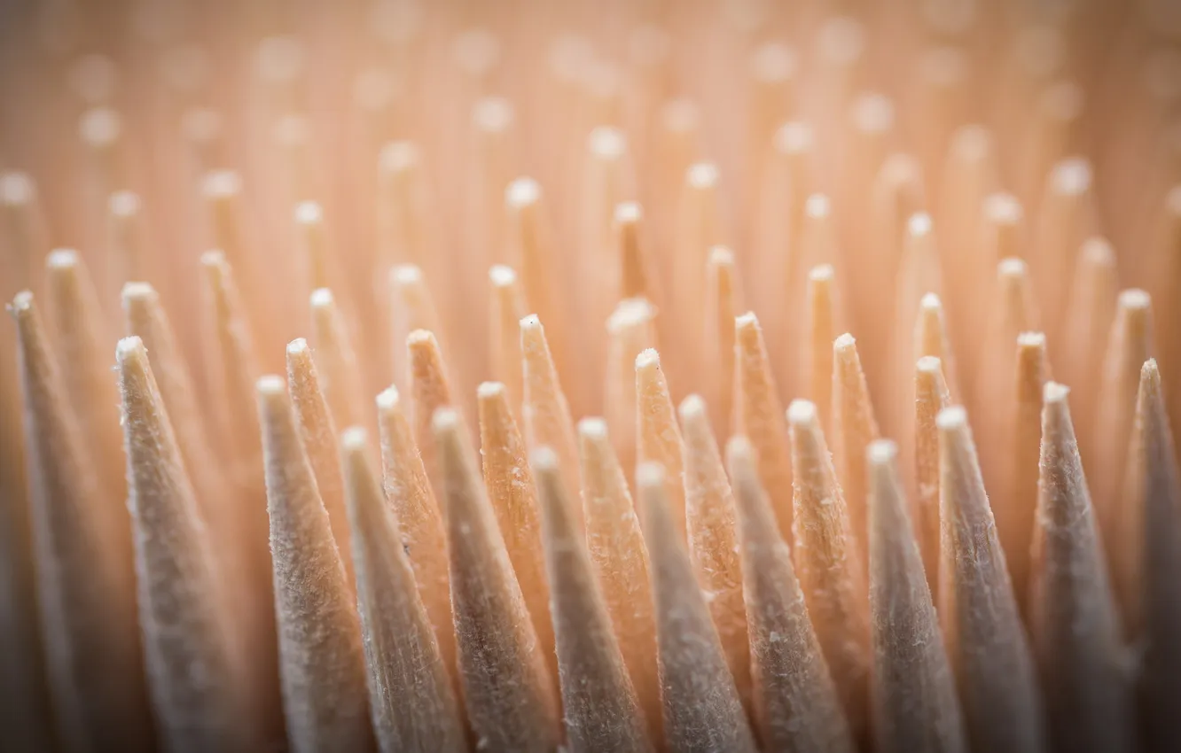 Photo wallpaper macro, background, form