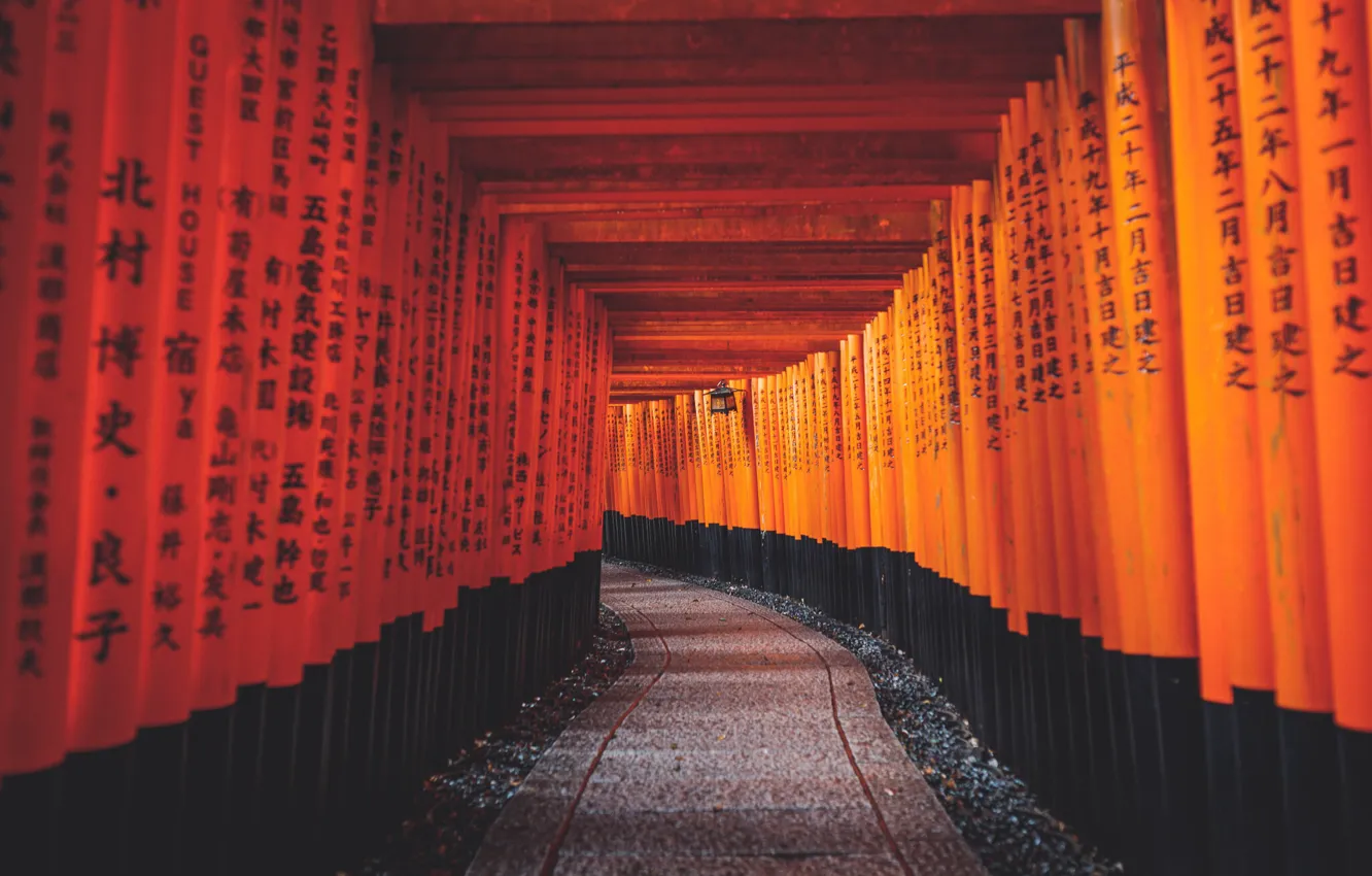 Photo wallpaper the inscription, track, characters, columns