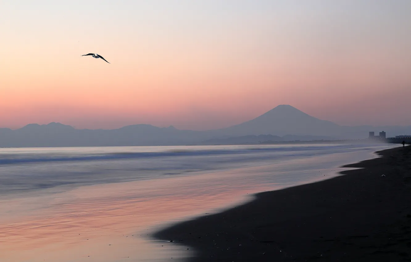Photo wallpaper sea, beach, the sky, mountains, dawn, bird, coast, Japan