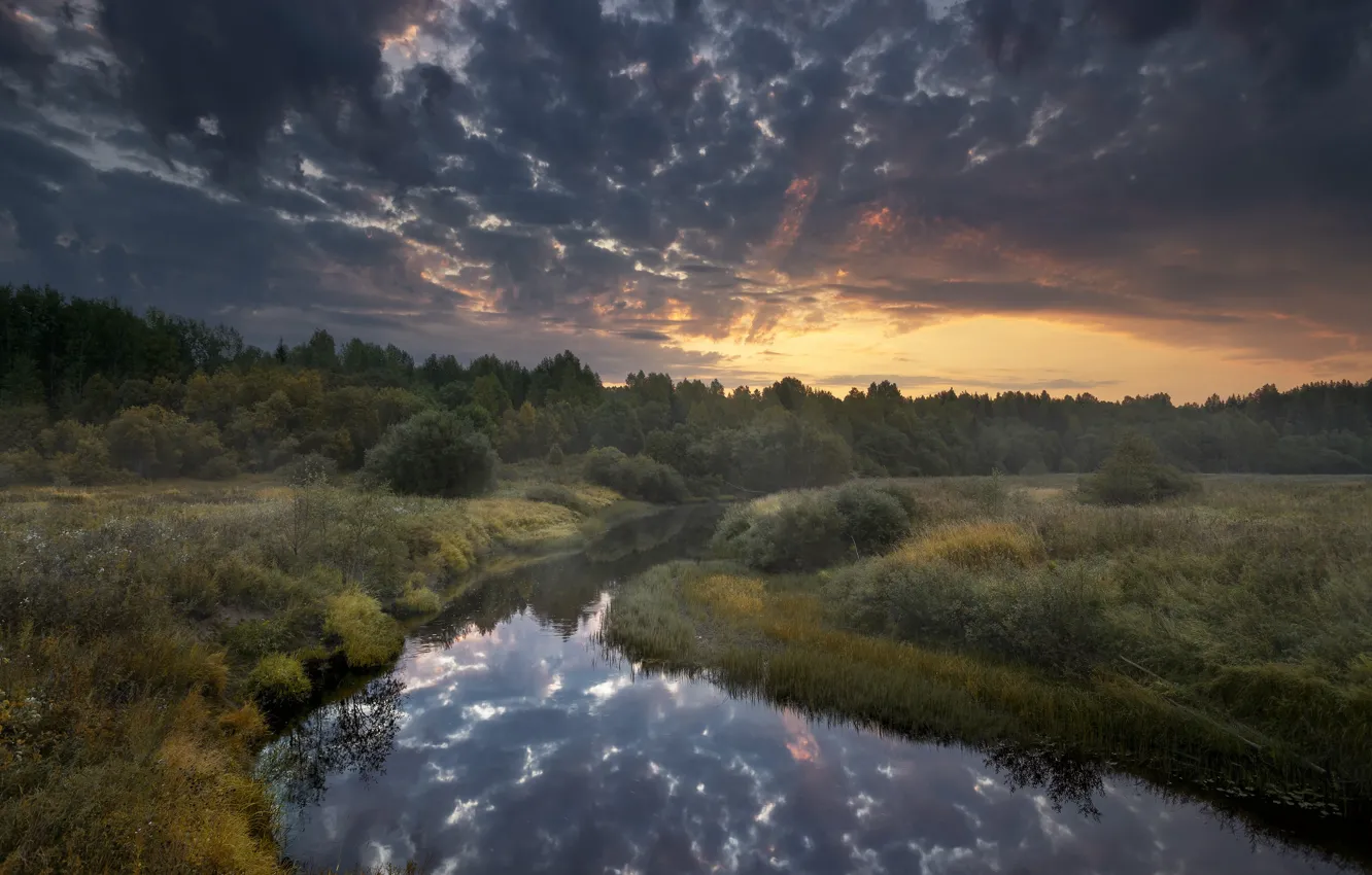 Photo wallpaper autumn, the sky, landscape, clouds, nature, dawn, morning, grass