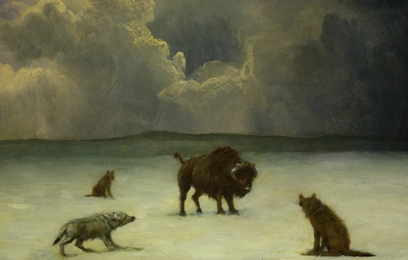 Photo wallpaper animals, wolf, picture, Buffalo, Albert Bierstadt, Trapped