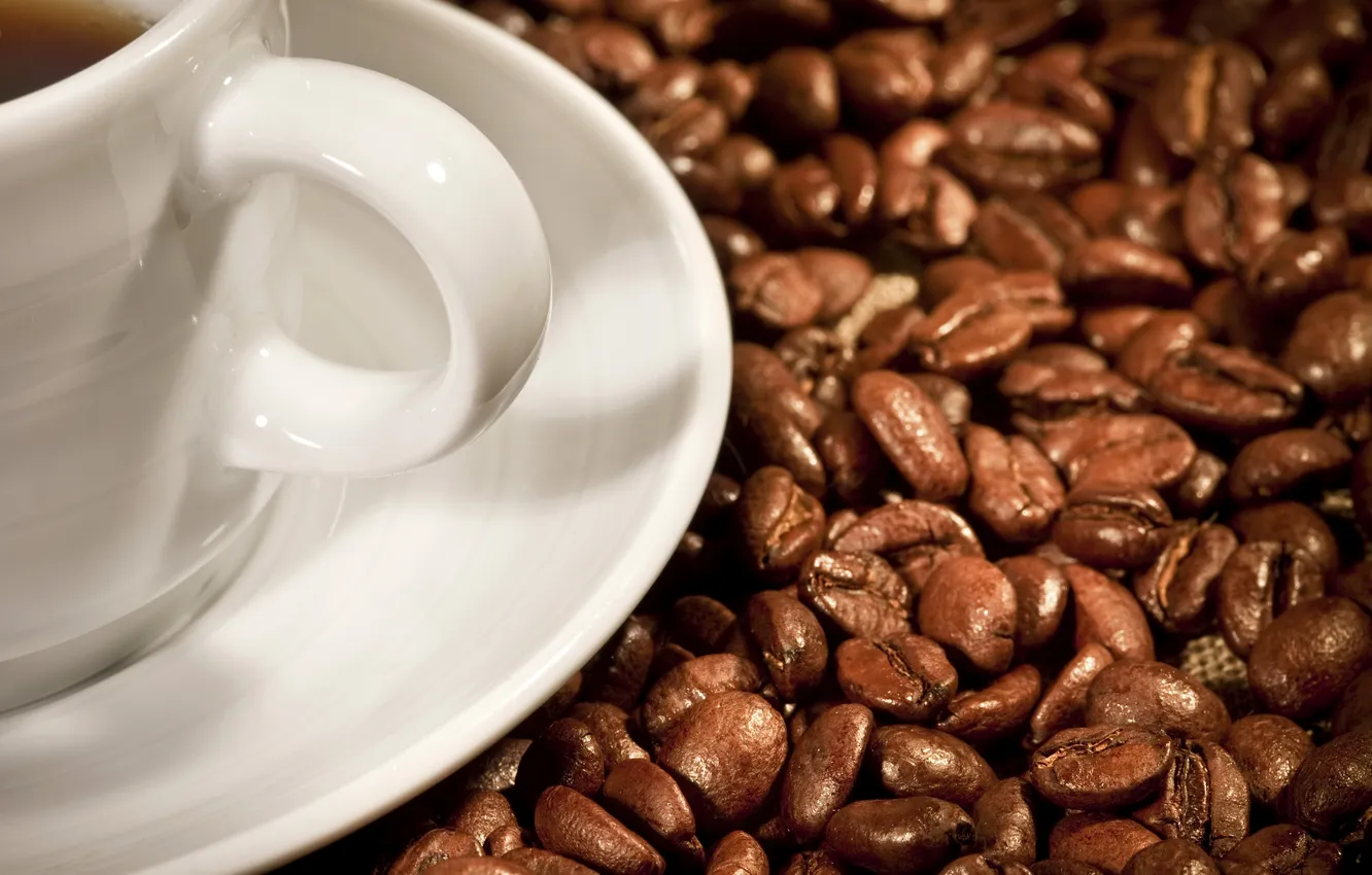 Photo wallpaper coffee, Cup, saucer, cup, grain, Coffee, coffee, coffee beans