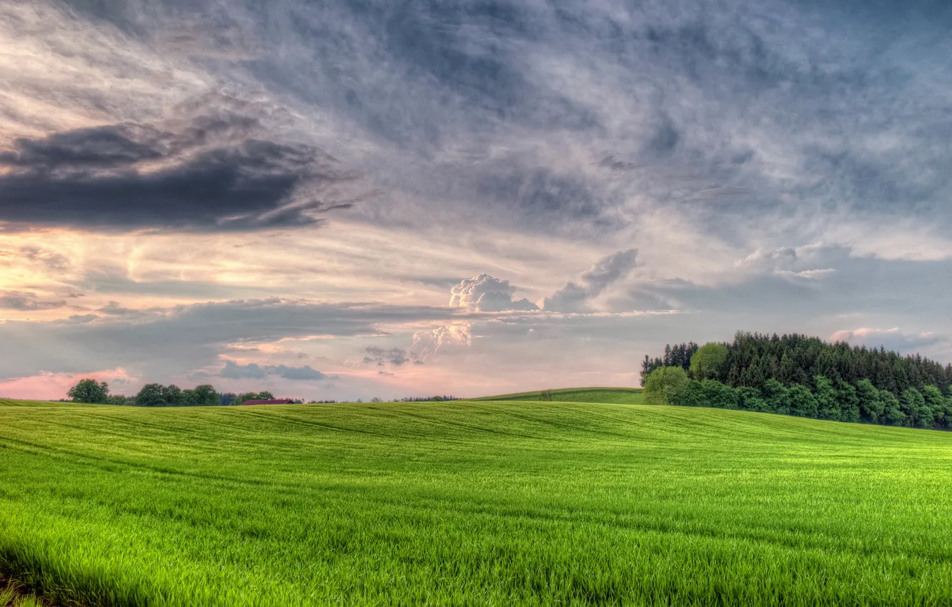 Photo wallpaper field, the sky, clouds, landing