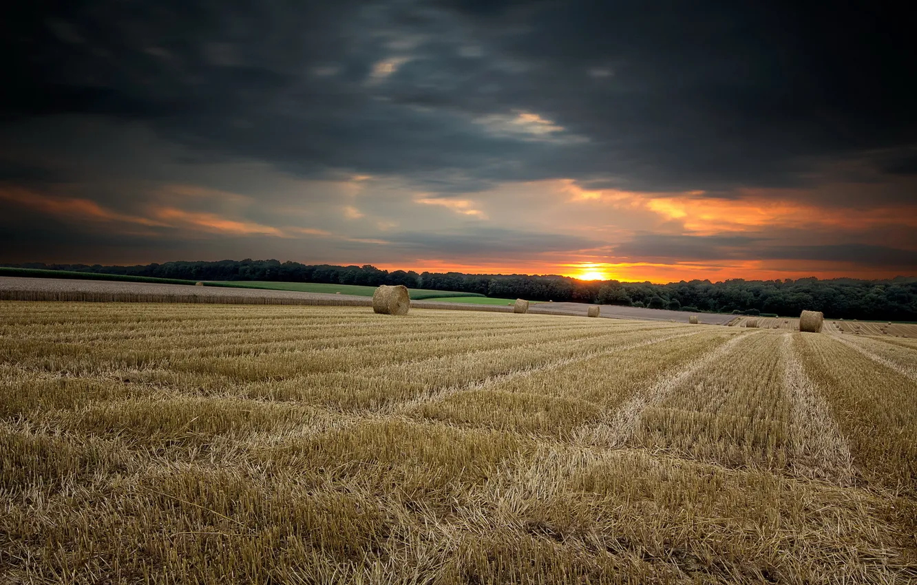 Photo wallpaper field, landscape, sunset, nature, hay