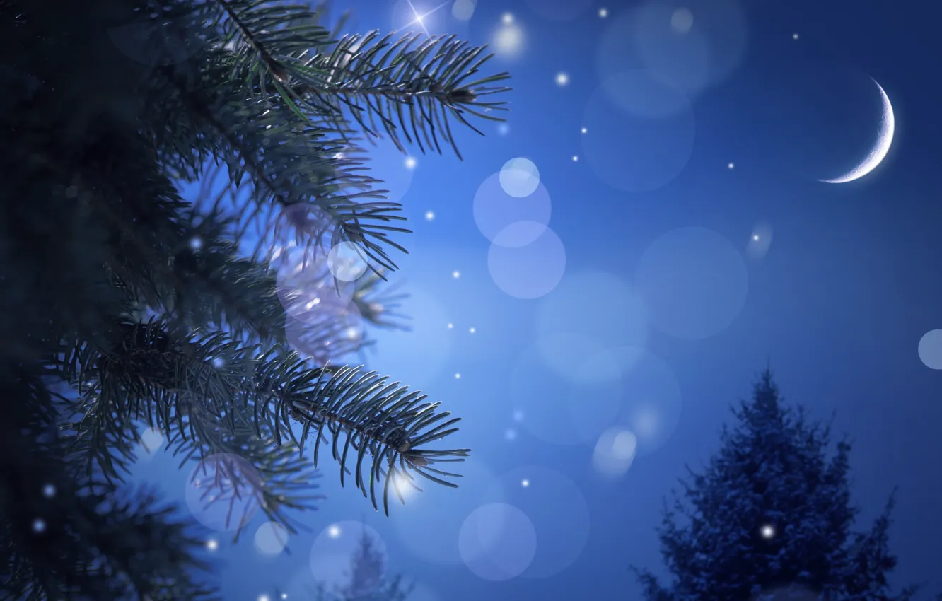 Photo wallpaper night, needles, tree, spruce, branch, a month, New Year, Christmas