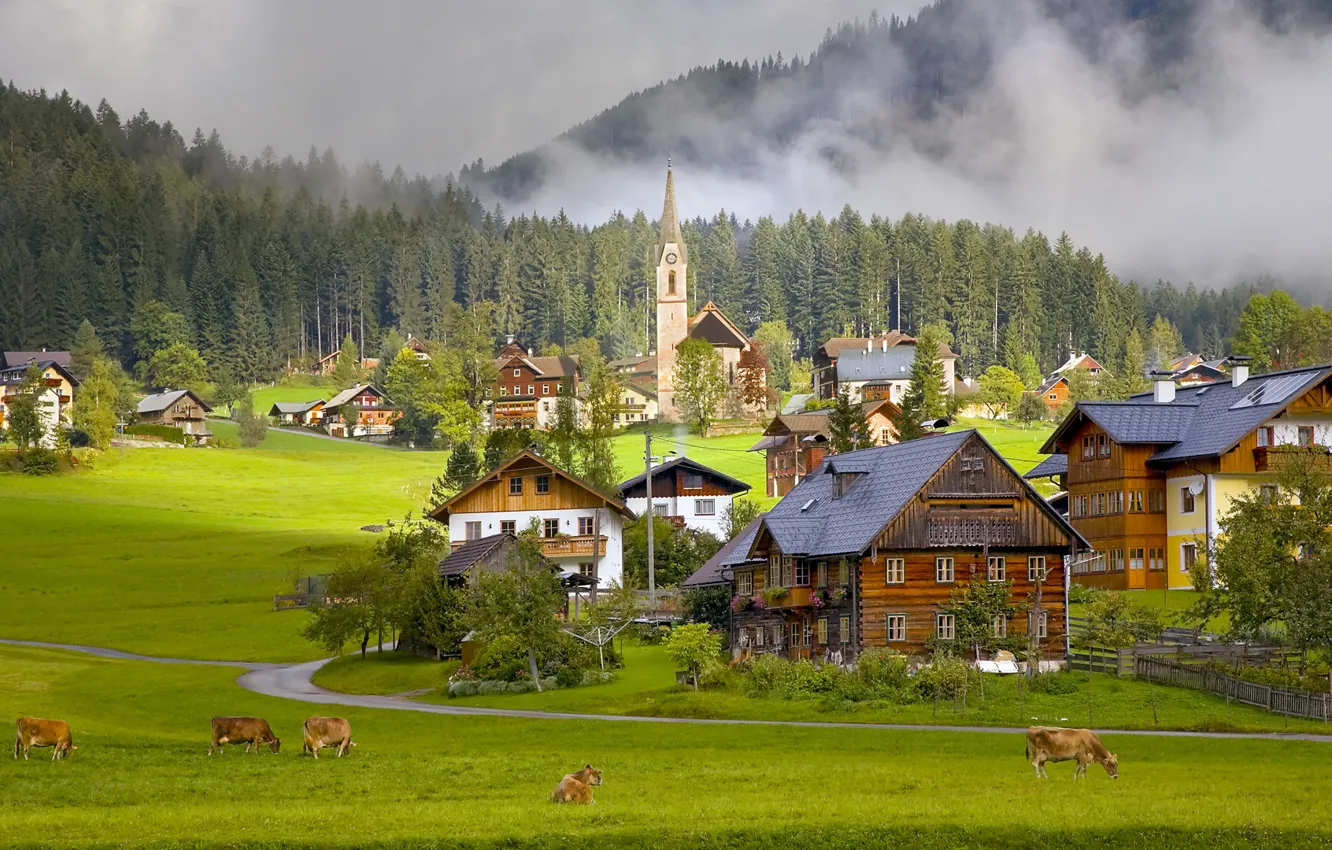 Photo wallpaper home, Austria, cows, village, Austria, Gosau Village