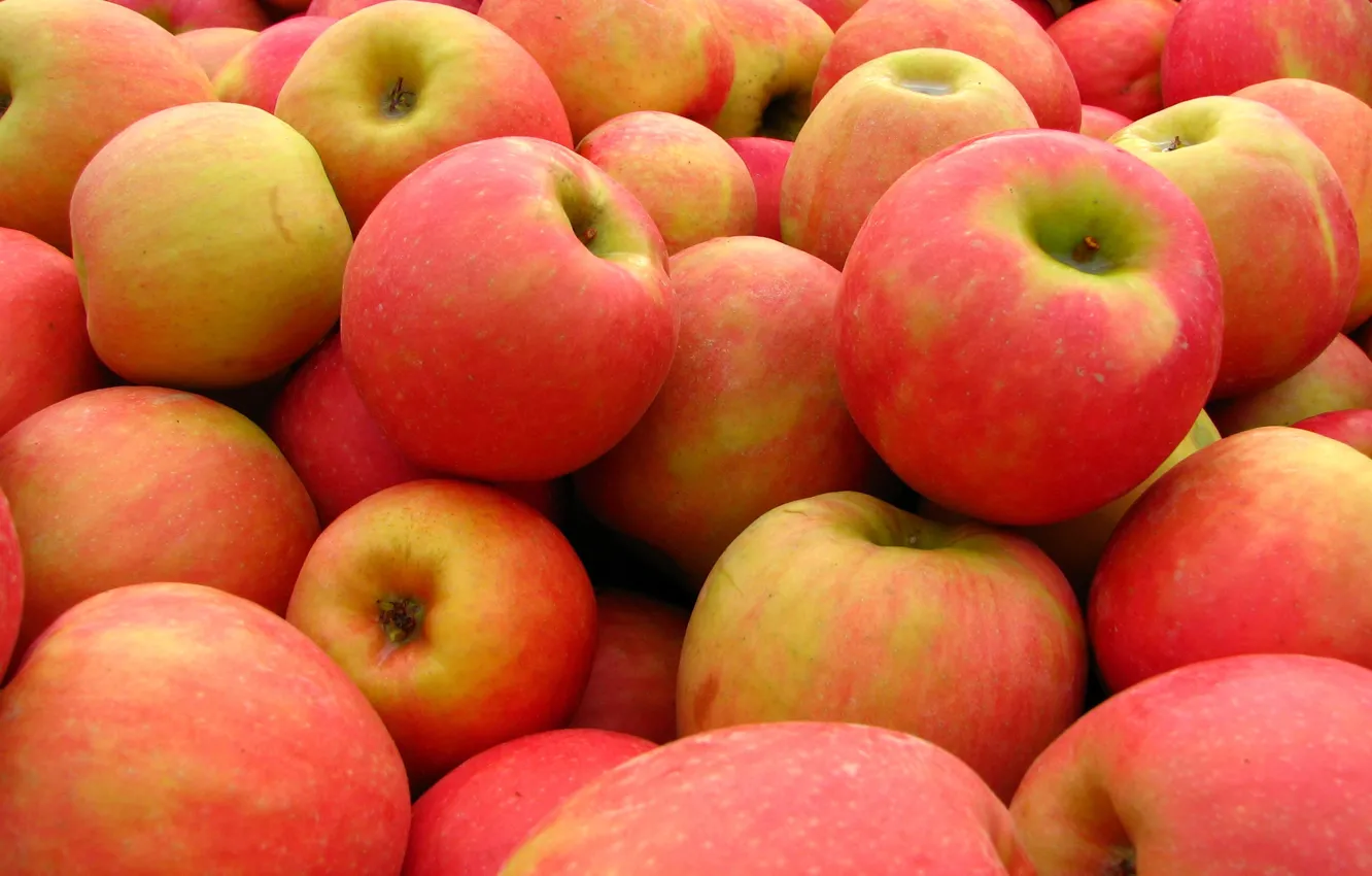 Photo wallpaper apples, texture, harvest, fruit