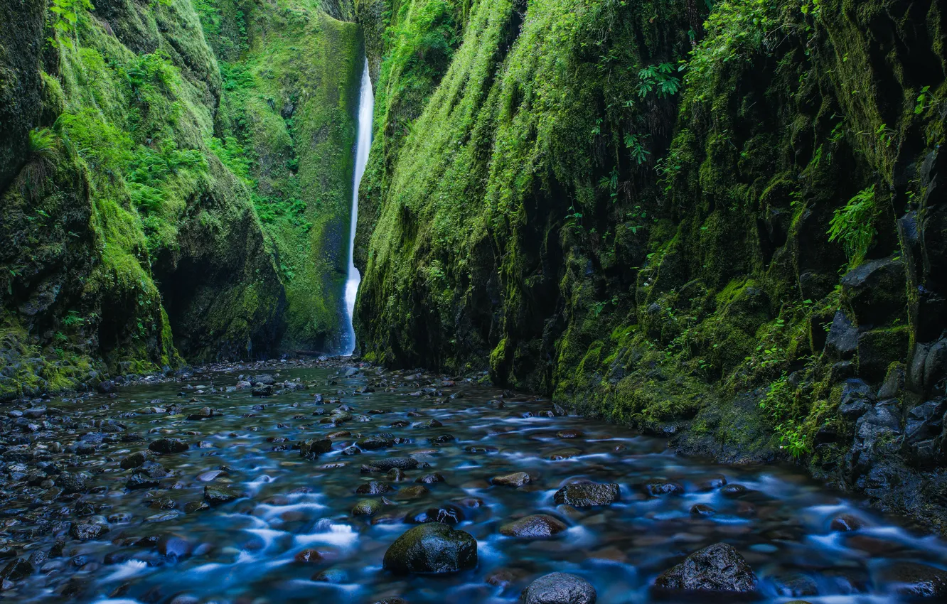 Photo wallpaper river, stones, rocks, waterfall, moss, Oregon, gorge, Oregon