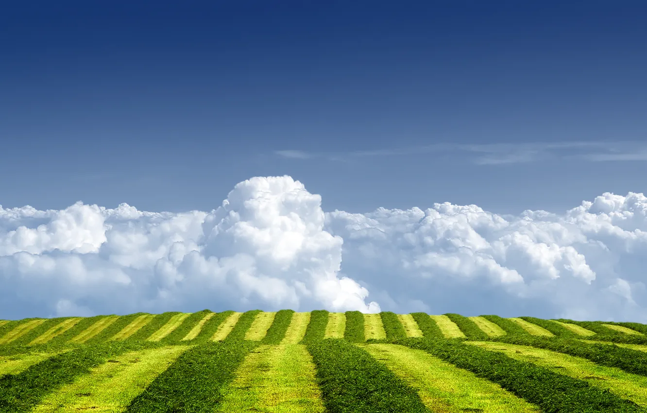 Photo wallpaper field, summer, the sky, grass, clouds