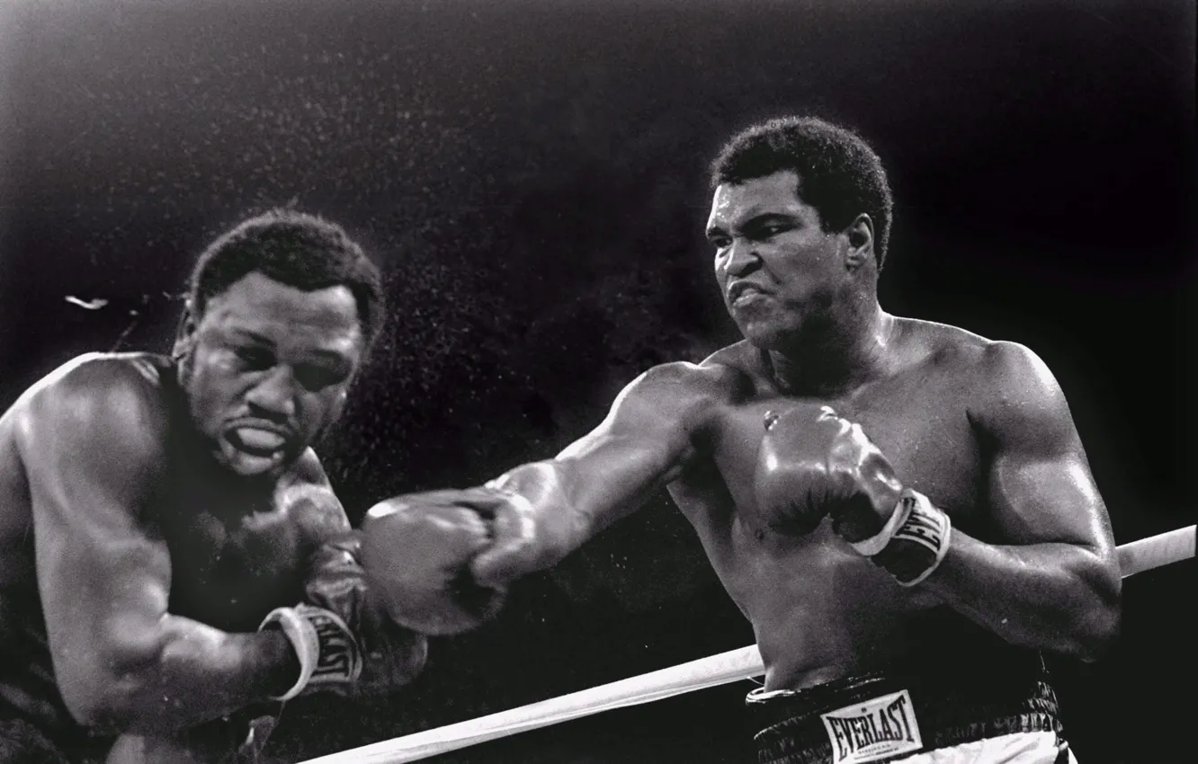 Photo wallpaper blow, Trilla in Manila, Muhammad Ali, 1975, 3 battle, Joe Frazier