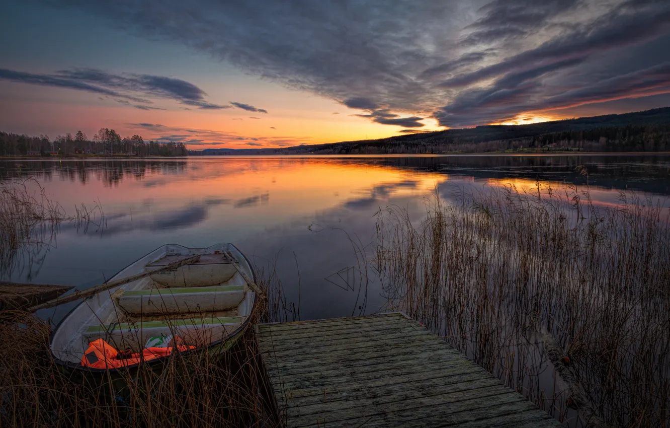 Photo wallpaper forest, the sky, grass, clouds, sunset, clouds, lake, reflection