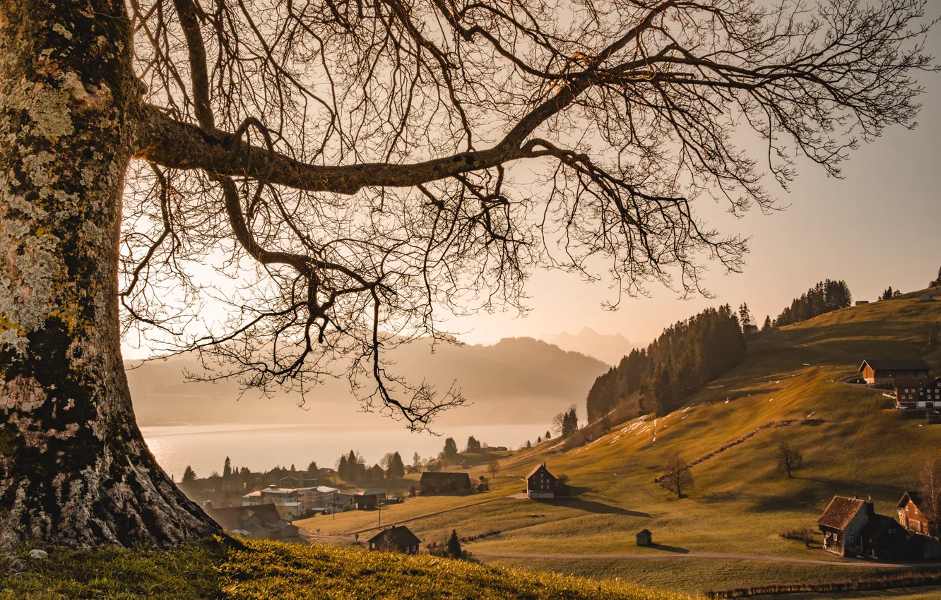 Photo wallpaper nature, Switzerland, Bird Stove - Einsiedeln