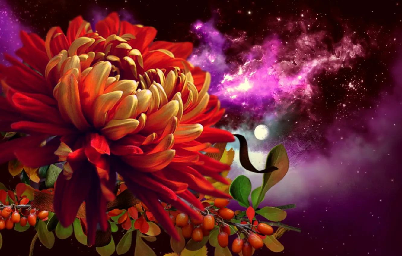 Photo wallpaper flower, the universe, stars, Astra, ncbo