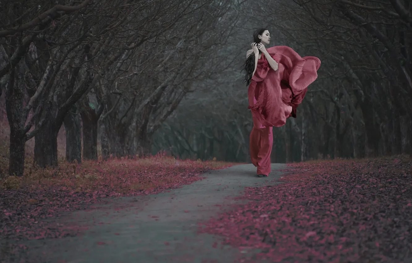 Photo wallpaper girl, trees, the wind, dress, brunette, track, long-haired