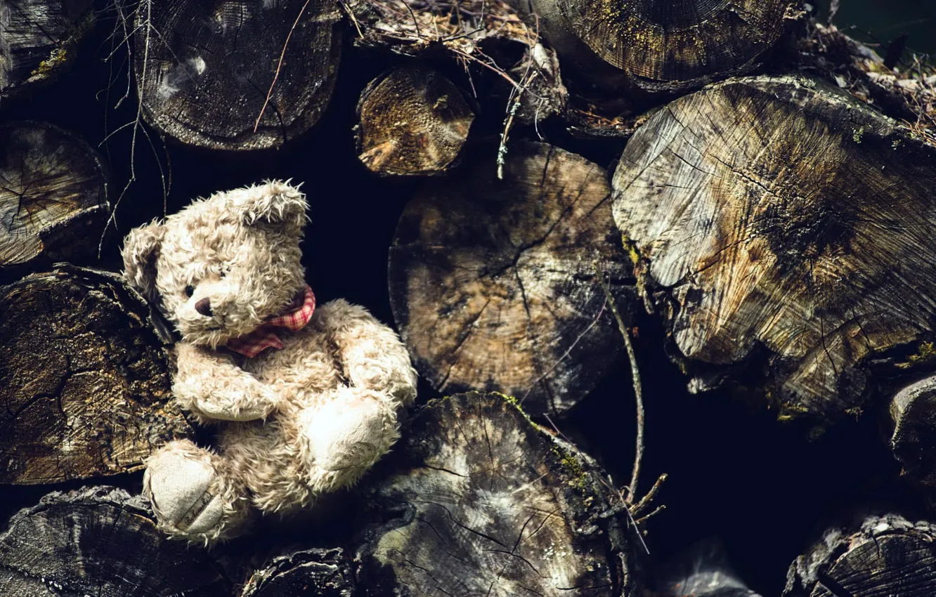 Photo wallpaper toy, bear, logs