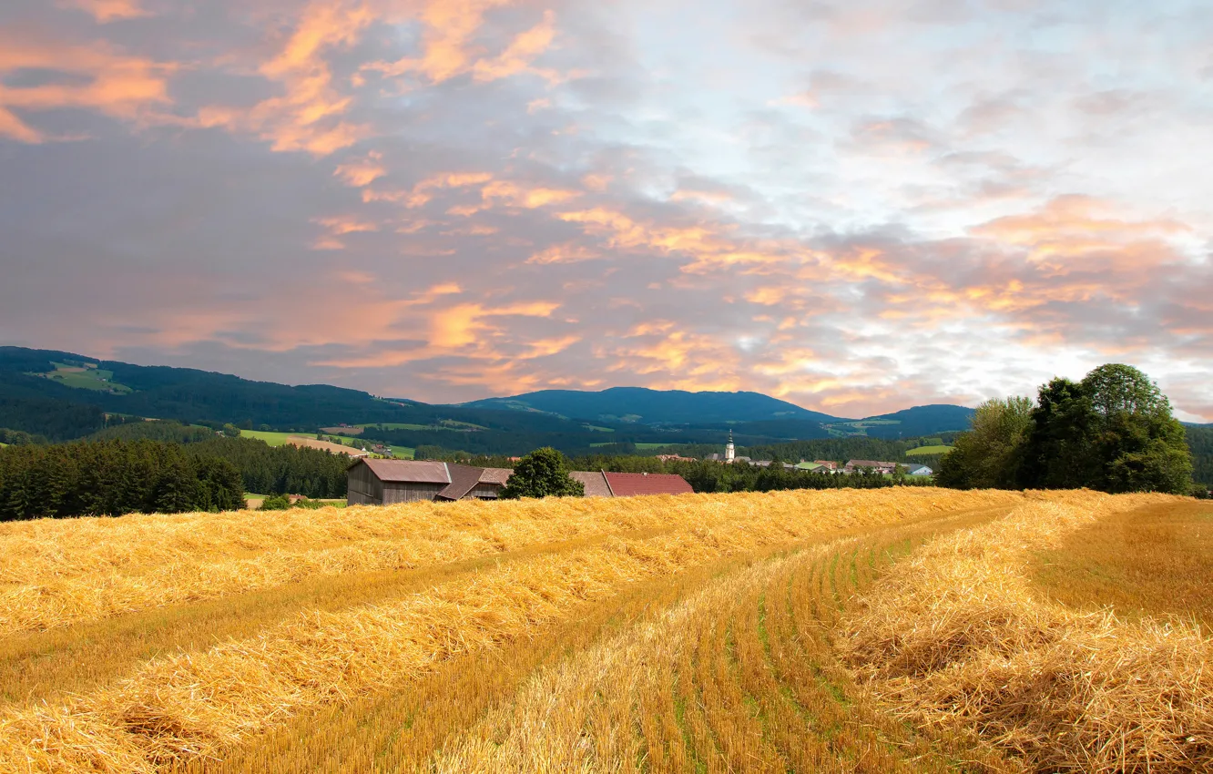 Photo wallpaper road, field, house
