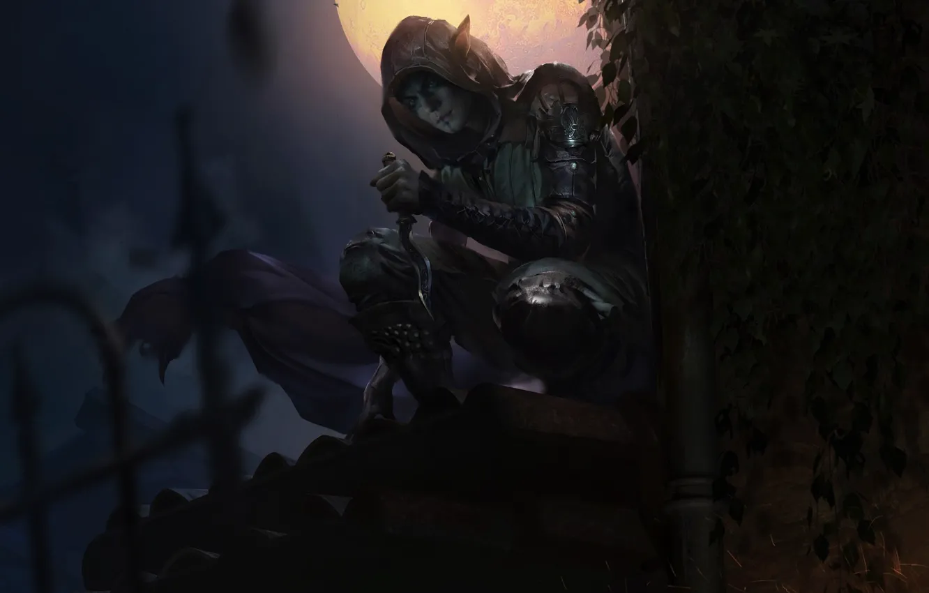 Photo wallpaper night, elf, the game, art, The Elder Scrolls Legends