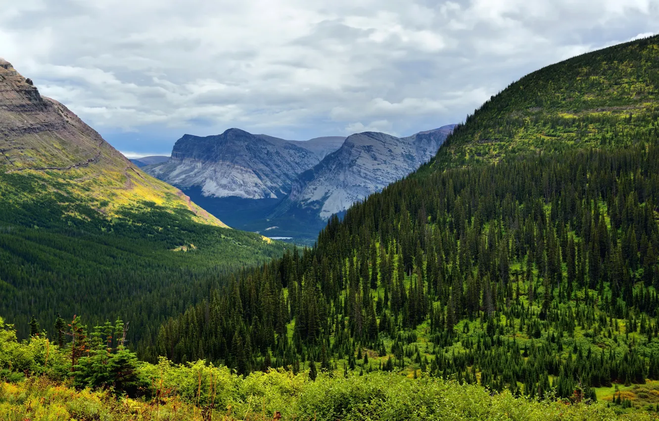 Photo wallpaper greens, forest, clouds, trees, mountains, rocks, valley, Alps
