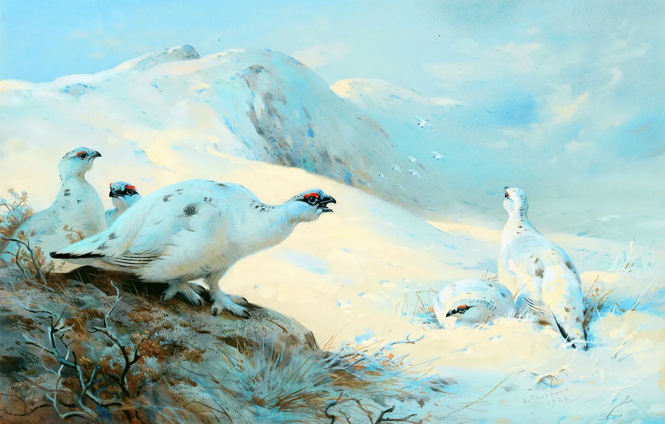 Photo wallpaper winter, snow, bird, picture, partridge, Scottish painter, Archibald Thorburn, Archibald Thorburn,