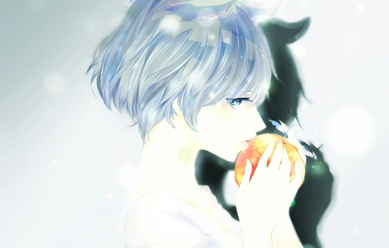 Photo wallpaper girl, Apple, shadow, anime, barcode, art, fruit, ears