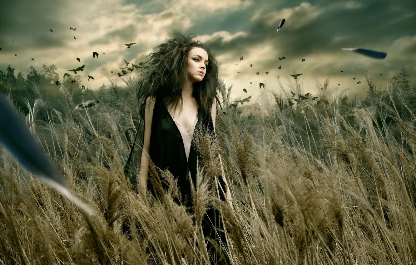 Photo wallpaper field, grass, girl, the evening