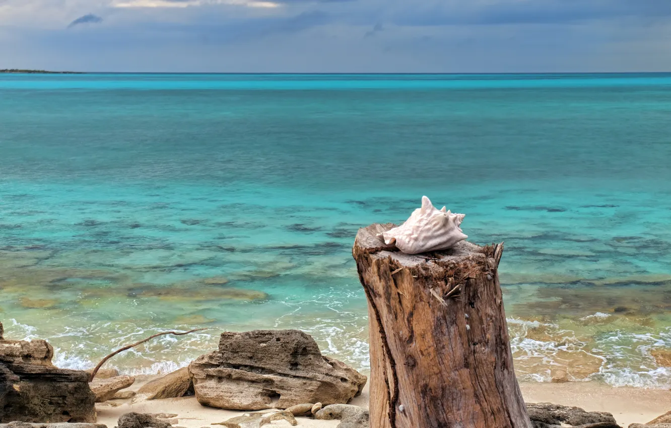 Photo wallpaper sea, stones, photo, shore, stump, sink, shell