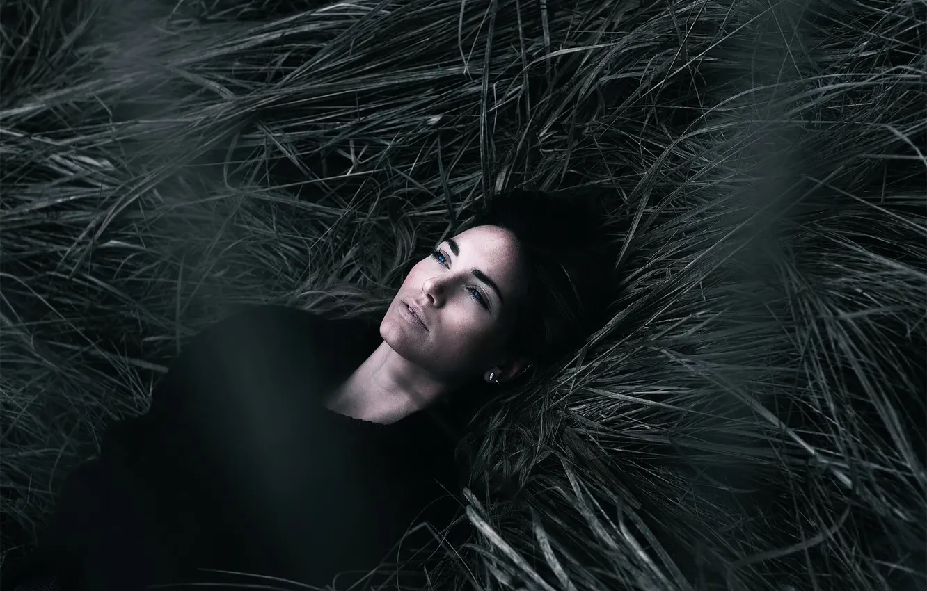 Photo wallpaper grass, girl, Michael Farber, Unrequited