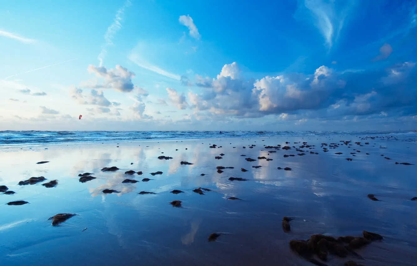 Photo wallpaper sea, wave, beach, algae