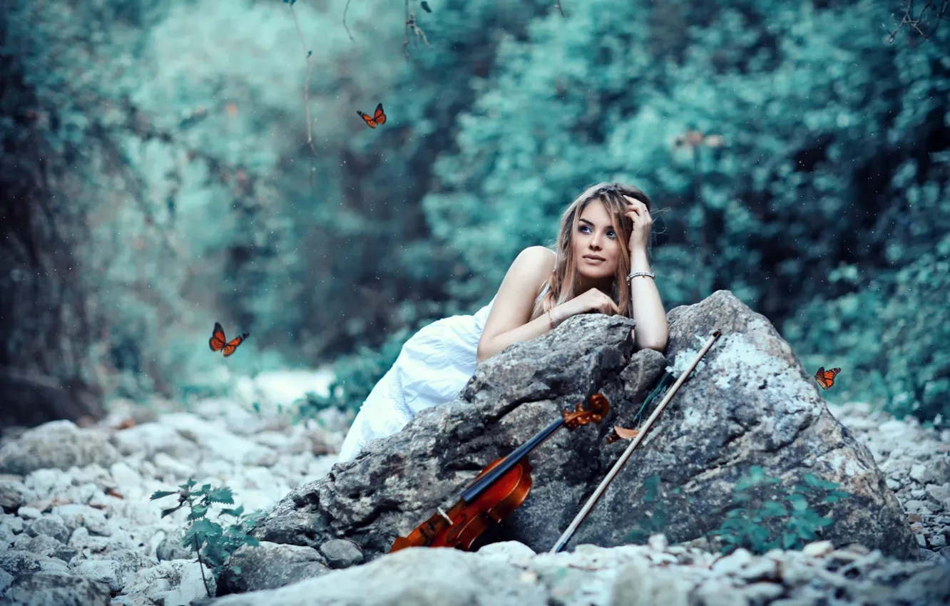Photo wallpaper girl, violin, bow, butterflies, Alessandro Di Cicco