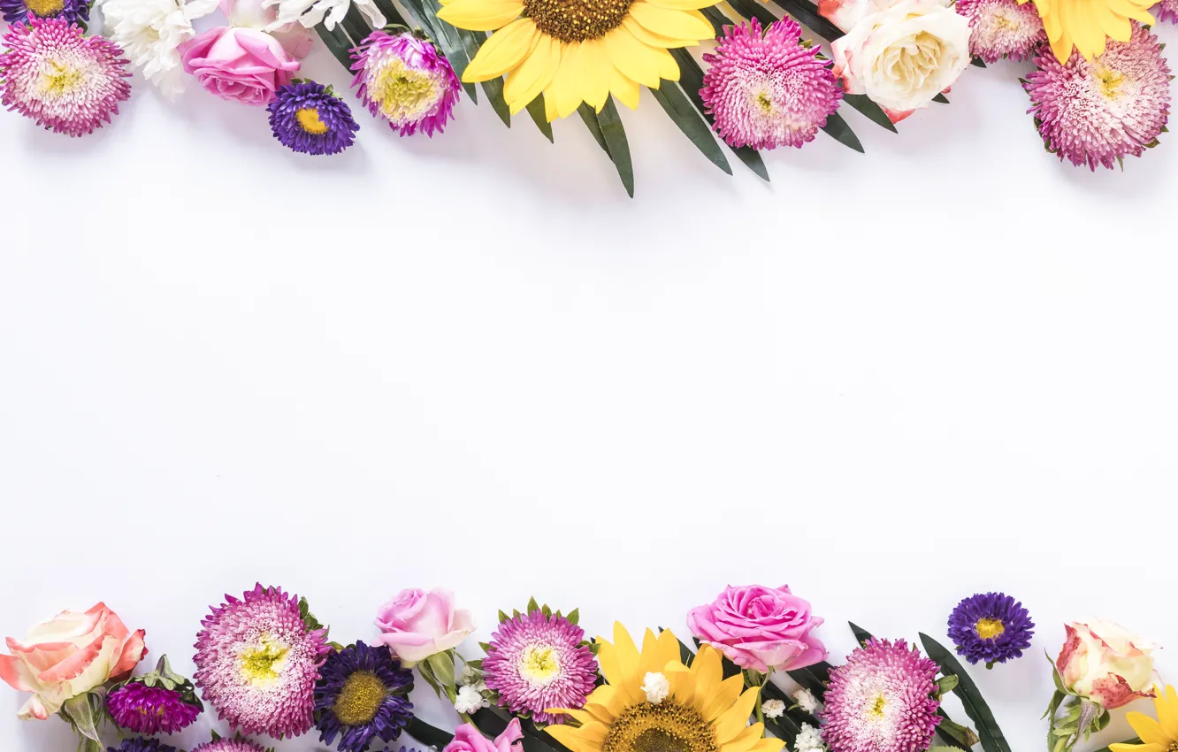 Photo wallpaper flowers, background, colorful, flowers