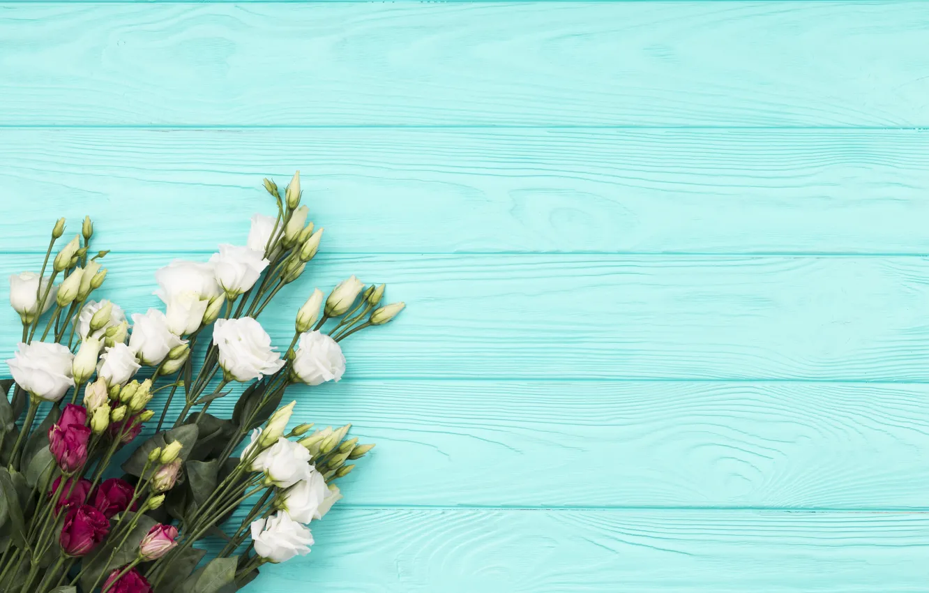 Photo wallpaper flowers, background, blue, bouquet, white, eustoma, Burgundy