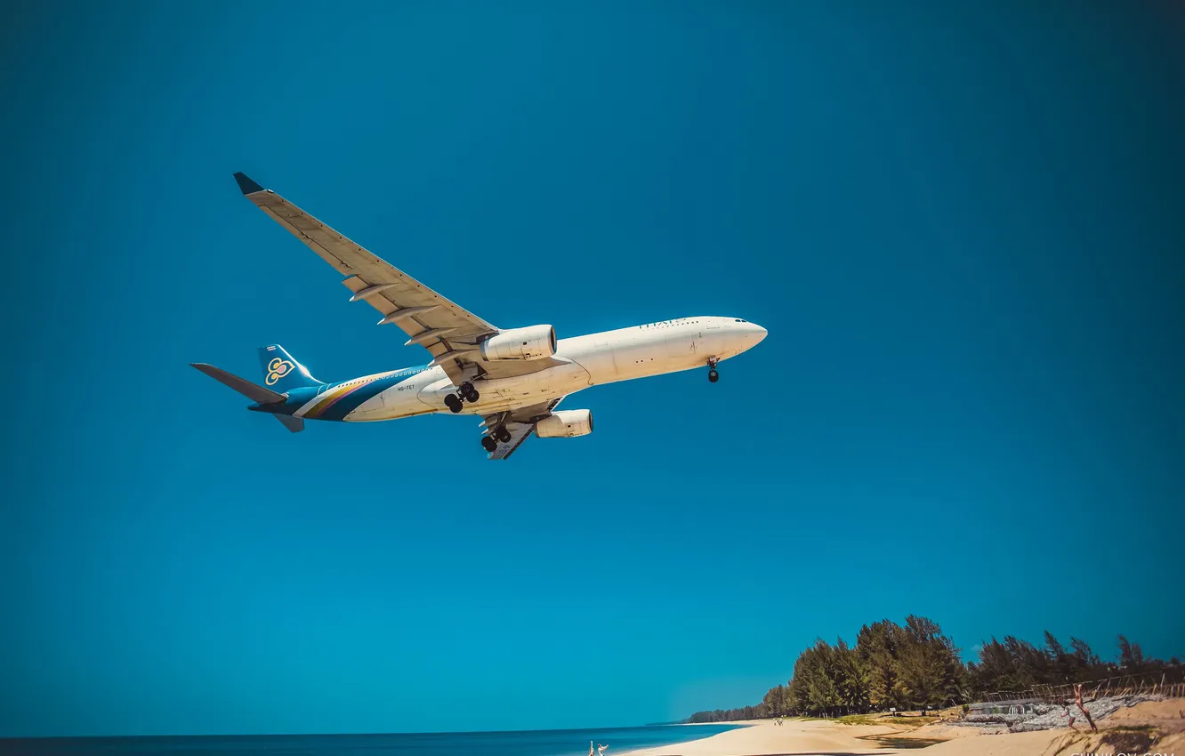 Photo wallpaper sand, sea, beach, the sun, trees, landscape, shore, horizon