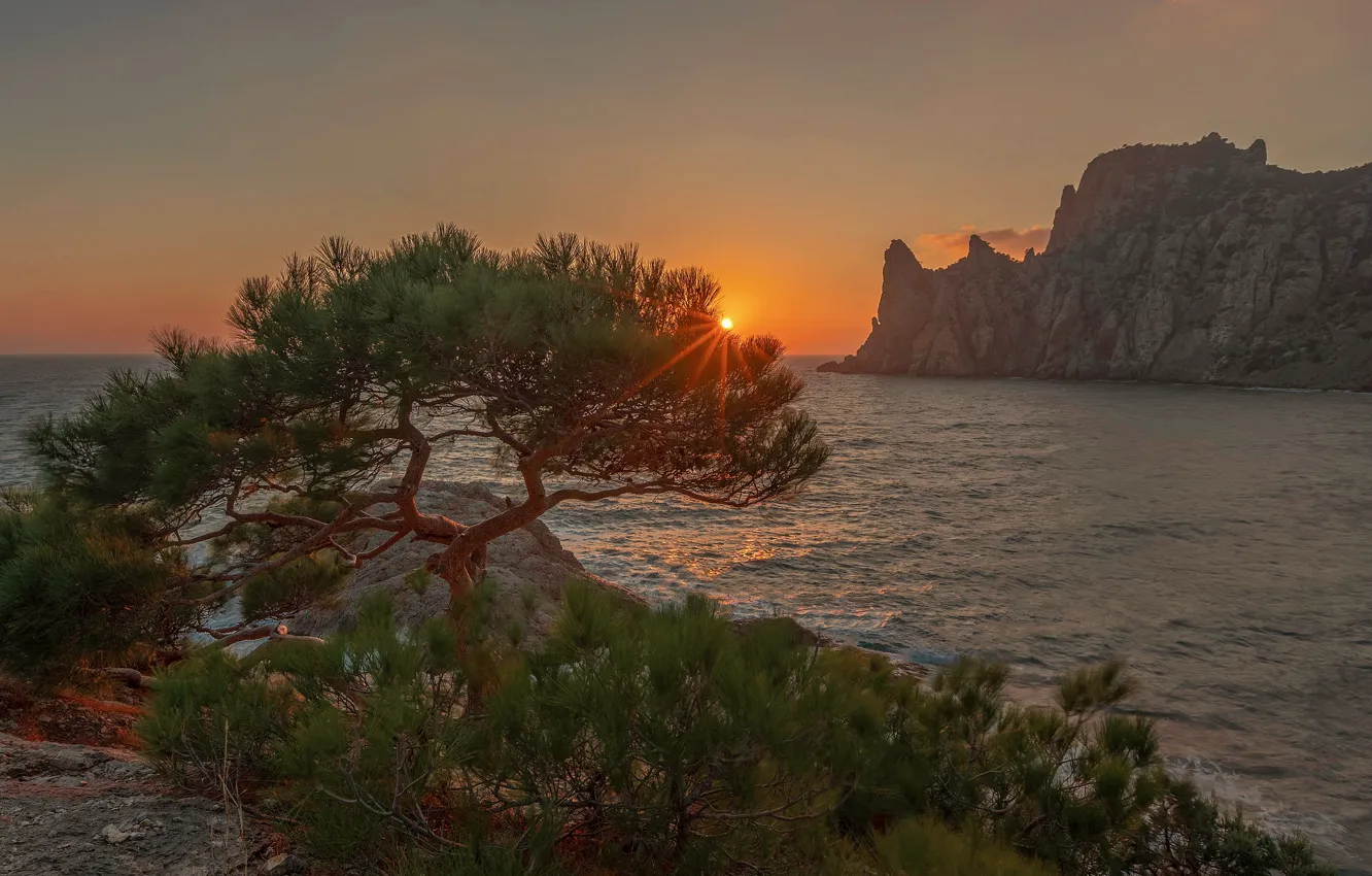 Photo wallpaper sea, the sun, rays, trees, landscape, sunset, nature, rocks