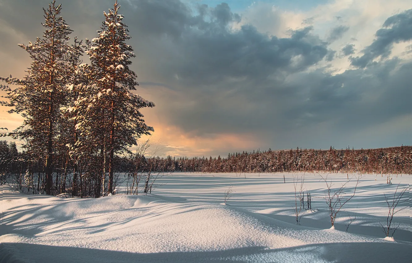 Photo wallpaper winter, forest, snow, trees, landscape, clouds, nature