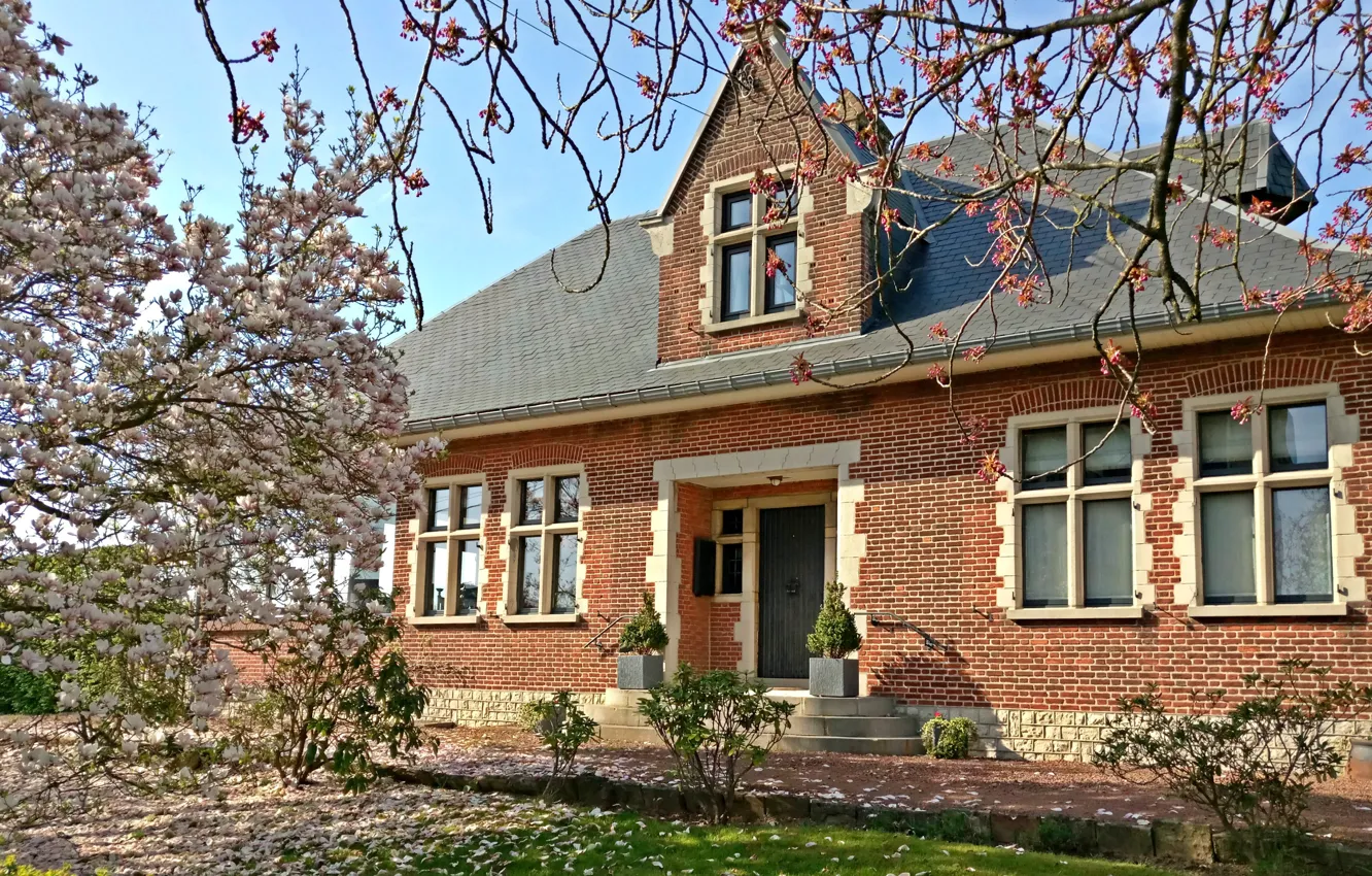 Photo wallpaper House, Grass, Spring, Belgium, Building, Magnolia, Garden, Architecture