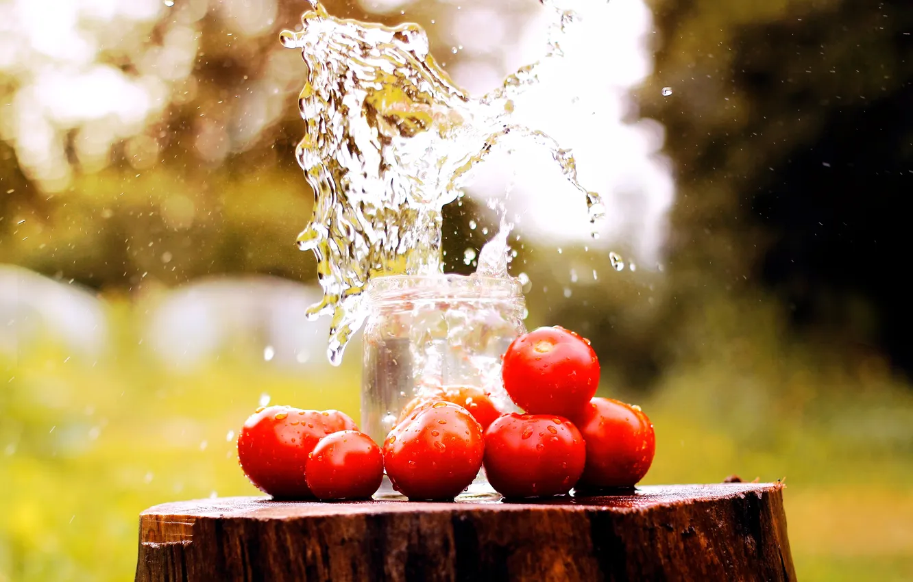 Photo wallpaper water, squirt, stump, Bank, tomatoes