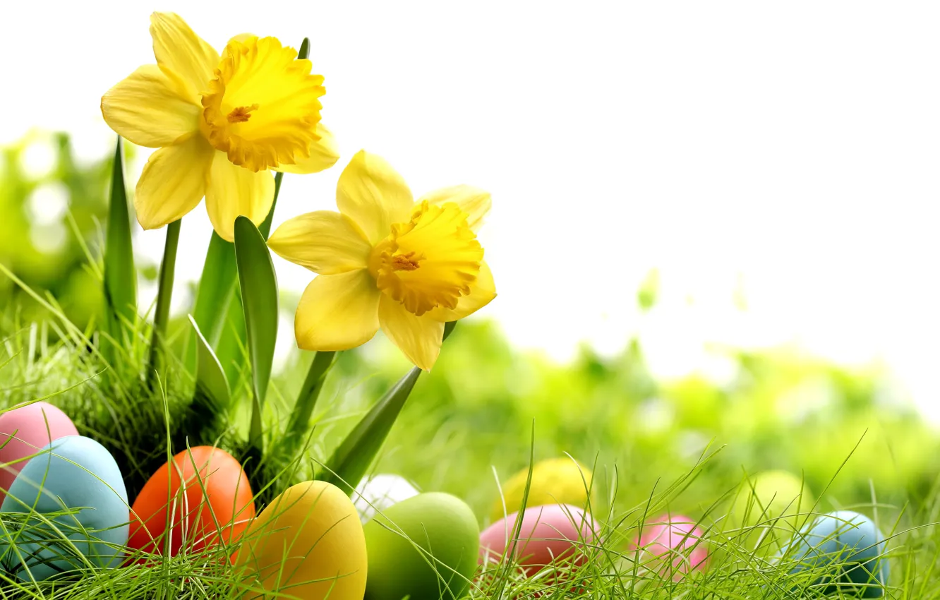 Photo wallpaper grass, flowers, eggs, spring, meadow, Easter, grass, sunshine