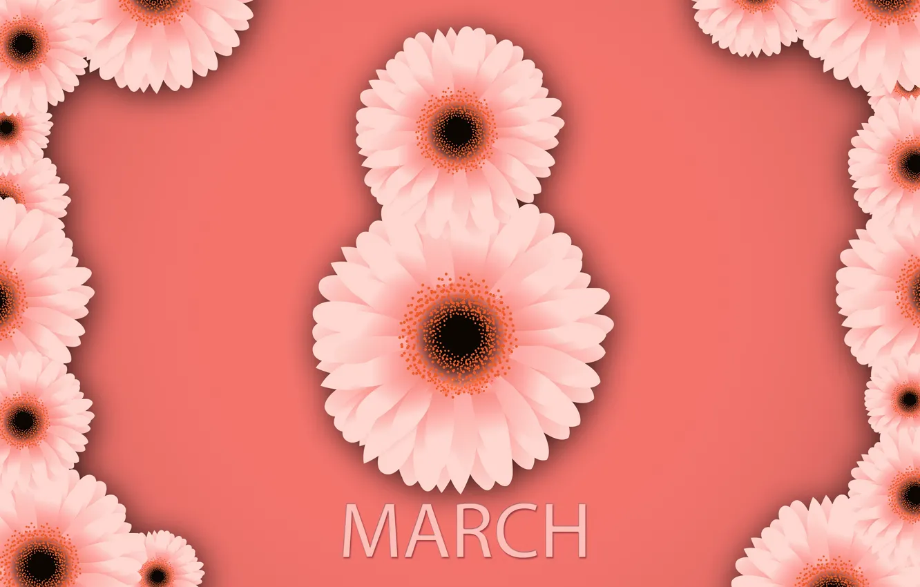 Photo wallpaper flowers, happy, March 8, chrysanthemum, flowers, women's day