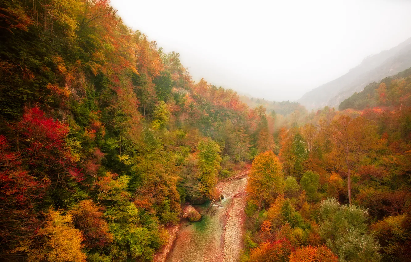 Photo wallpaper autumn, forest, mountains, fog, river