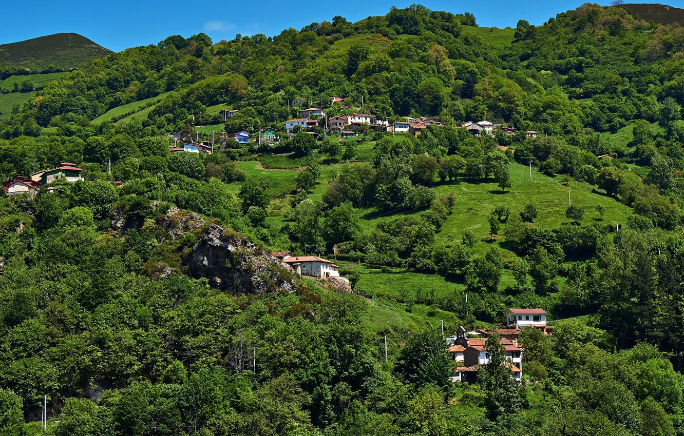 Photo wallpaper greens, field, summer, the sun, trees, hills, slope, house