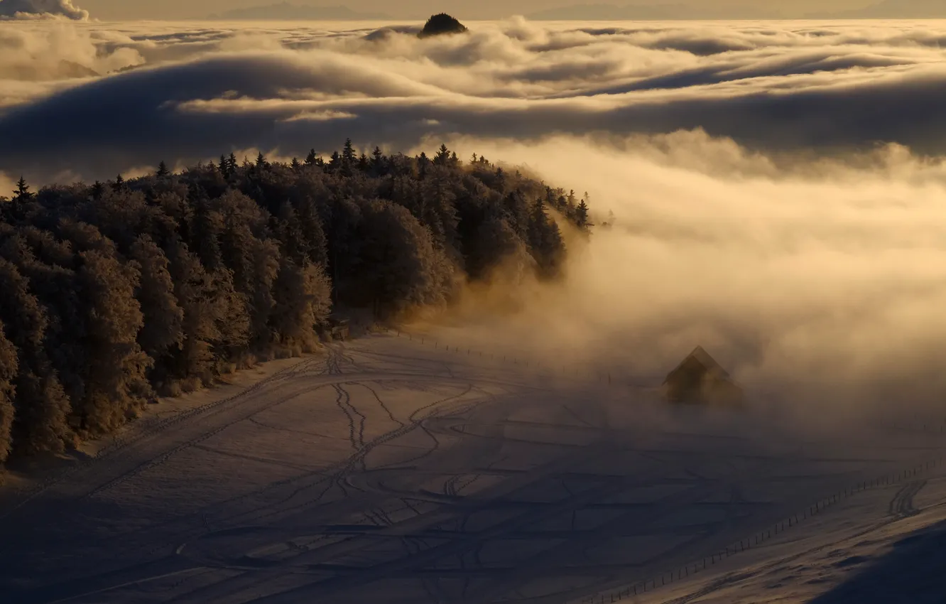 Photo wallpaper forest, clouds, snow, trees, traces, fog, house, morning