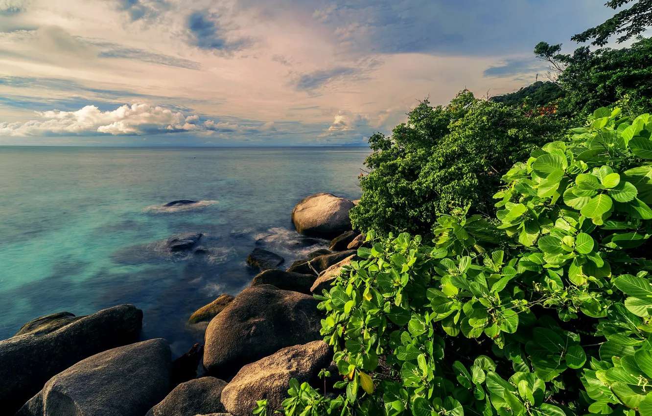 Photo wallpaper sea, greens, water, nature, tropics, stones, Bush