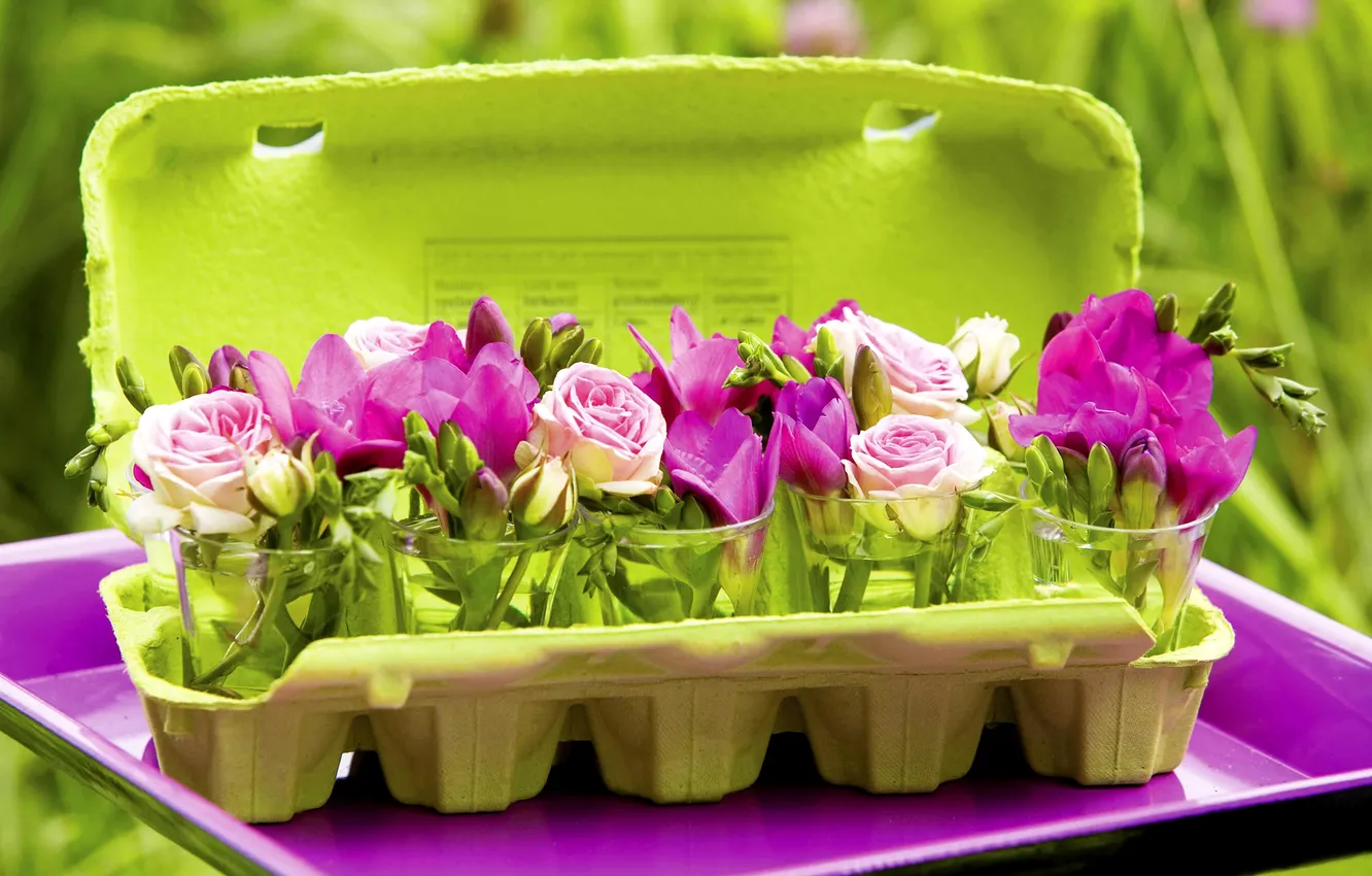 Photo wallpaper roses, roses, freesia