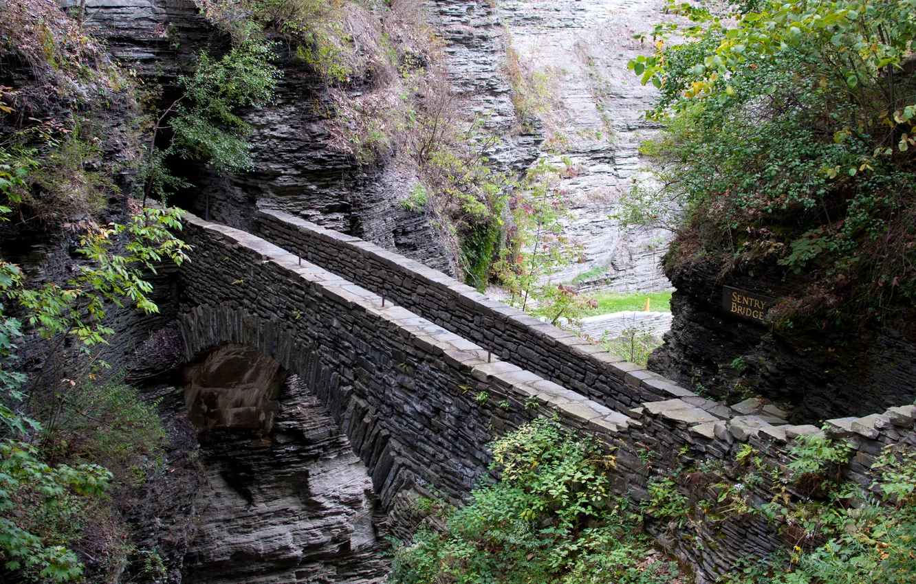 Photo wallpaper trees, bridge, nature, rocks, sentry bridge, sentry bridge