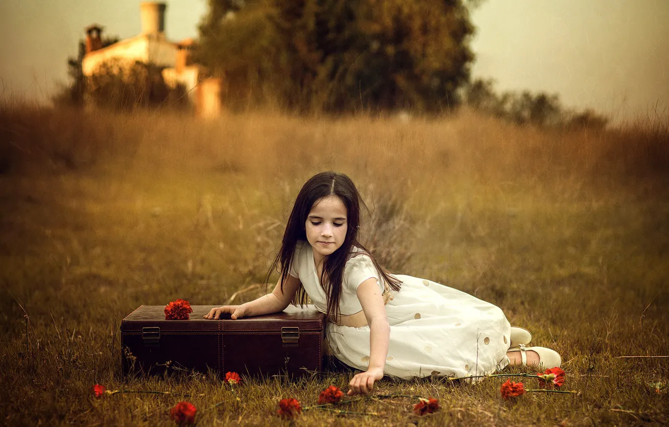 Photo wallpaper summer, flowers, girl