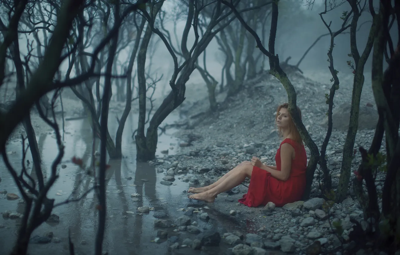 Photo wallpaper forest, girl, trees, branches, nature, pose, fog, stones