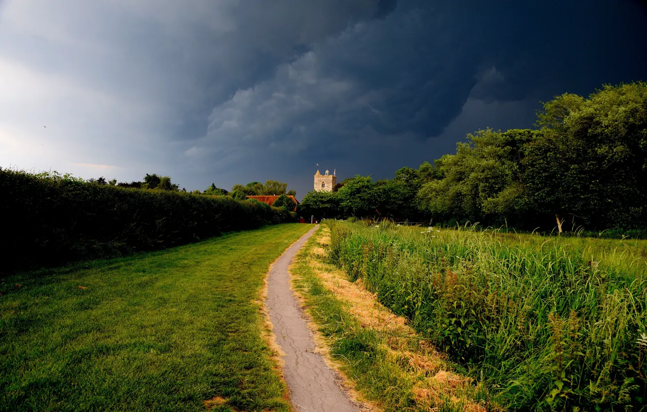 Photo wallpaper road, greens, field, forest, summer, the sky, grass, trees