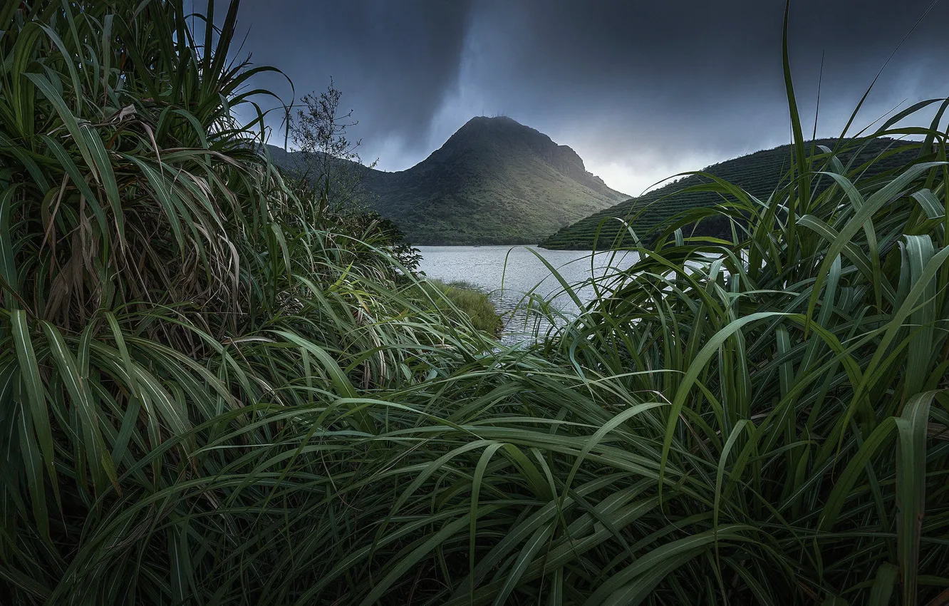 Photo wallpaper grass, mountains, shore, pond